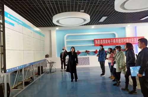 多個(gè)新聞媒體聯(lián)合對(duì)海晏縣電子商務(wù)進(jìn)農(nóng)村工作展開(kāi)采訪報(bào)道